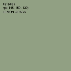 #919F82 - Lemon Grass Color Image